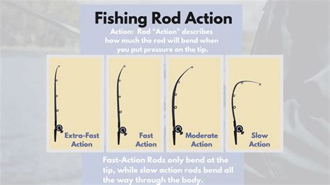 Choosing The Right Rod .